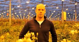 ‘Als je meerwaarde wilt bieden, moet je insteken op kwaliteit’