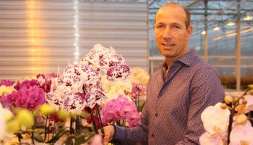 Phalaenopsisteler en -veredelaar vernieuwt op meerdere fronten