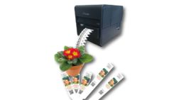 Zelf goedkoop plantlabels bedrukken in kleur