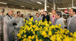 Internationale belangstelling voor HortiContact Tour 2019