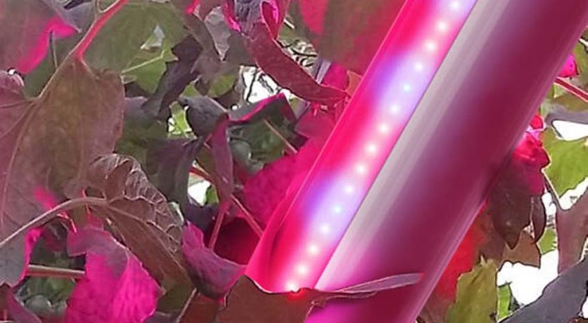 Nieuw LED-armatuur welkome aanvulling op SON-T