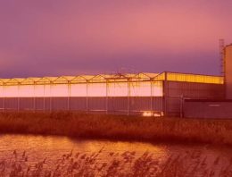 Hoe wordt tuinbouw fossielvrij?