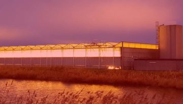 Hoe wordt tuinbouw fossielvrij?
