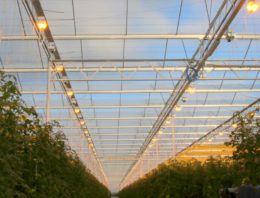 Beter lichtverlies dan kwaliteitsverlies