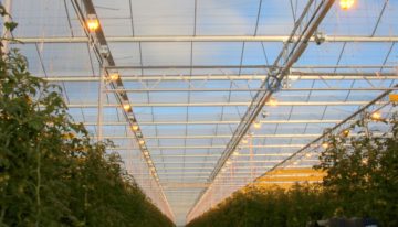 Beter lichtverlies dan kwaliteitsverlies