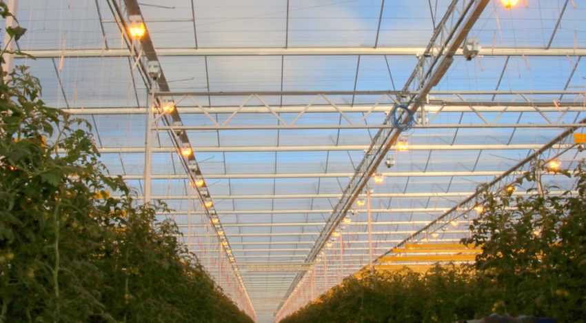 Beter lichtverlies dan kwaliteitsverlies