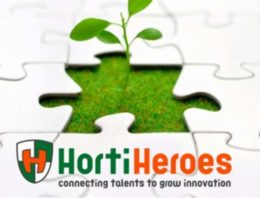 HeroFestival in teken van ‘Global Challenges, Dutch Solutions’