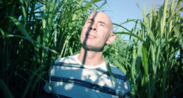 Olifantsgras kan tuinbouw ‘genezen’ van plasticsoep