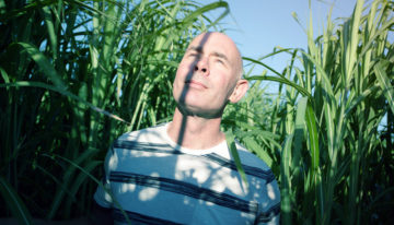 Olifantsgras kan tuinbouw ‘genezen’ van plasticsoep