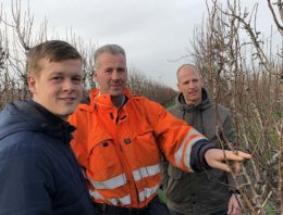 Betere resultaten bij zowel peren als jonge planten dankzij biostimulanten