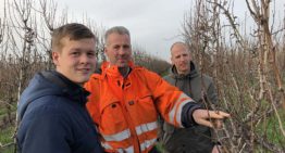 Betere resultaten bij zowel peren als jonge planten dankzij biostimulanten
