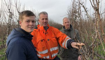 Betere resultaten bij zowel peren als jonge planten dankzij biostimulanten