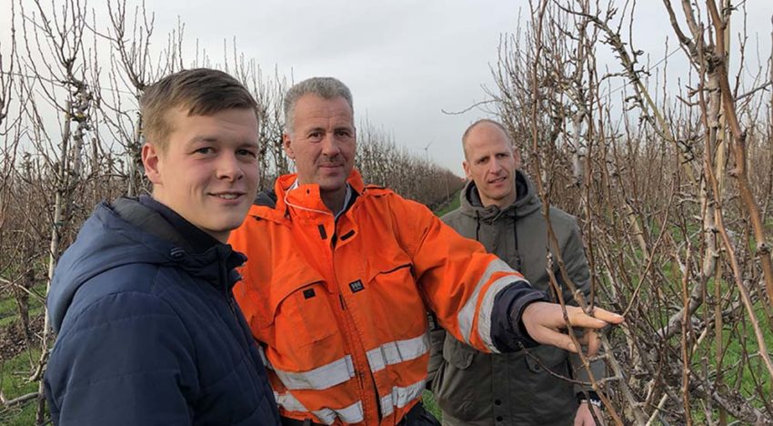 Betere resultaten bij zowel peren als jonge planten dankzij biostimulanten