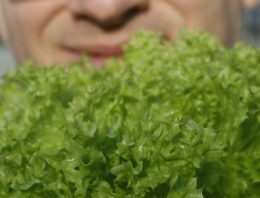 ‘Geliefd product in verse slamixen in de supermarkt’