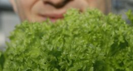 ‘Geliefd product in verse slamixen in de supermarkt’