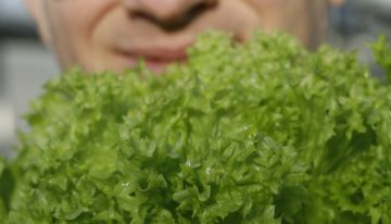 ‘Geliefd product in verse slamixen in de supermarkt’