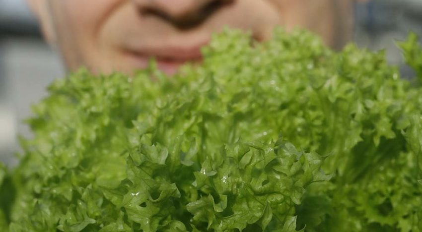 ‘Geliefd product in verse slamixen in de supermarkt’