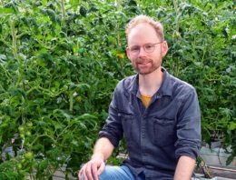 ‘Gericht fokken op eigenschappen vereist voor betere natuurlijke vijanden’