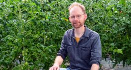 ‘Gericht fokken op eigenschappen vereist voor betere natuurlijke vijanden’