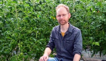 ‘Gericht fokken op eigenschappen vereist voor betere natuurlijke vijanden’