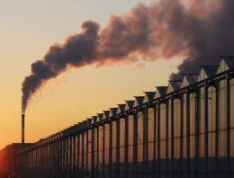 ‘Volledig klimaatneutraal telen in 2040 gaat ons niet lukken’
