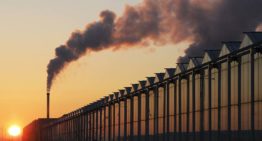 ‘Volledig klimaatneutraal telen in 2040 gaat ons niet lukken’