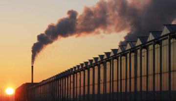 ‘Volledig klimaatneutraal telen in 2040 gaat ons niet lukken’