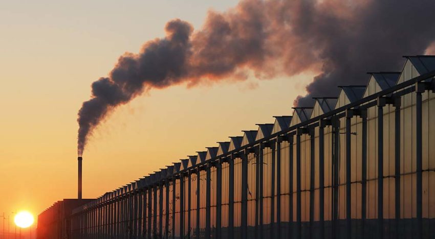 ‘Volledig klimaatneutraal telen in 2040 gaat ons niet lukken’