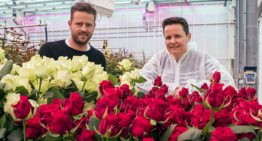 Red Naomi! en Avalanche+ reageren prima op nieuwe rozenspectrum