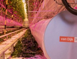 Andere benadering van het klimaat doet piekverbruik afnemen
