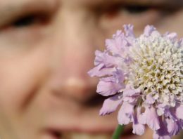 Tuinbloeier waar natuurliefhebbers vrolijk van worden’