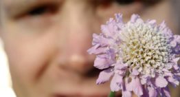 Tuinbloeier waar natuurliefhebbers vrolijk van worden’