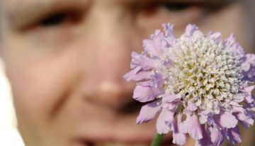 Tuinbloeier waar natuurliefhebbers vrolijk van worden’