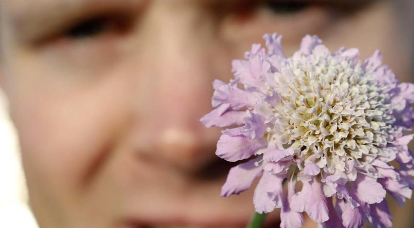 Tuinbloeier waar natuurliefhebbers vrolijk van worden’