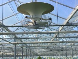 Een optimaal microklimaat op plantniveau door verticale luchtcirculatie
