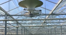 Een optimaal microklimaat op plantniveau door verticale luchtcirculatie