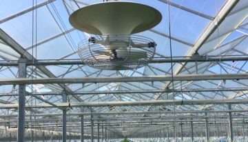 Een optimaal microklimaat op plantniveau door verticale luchtcirculatie