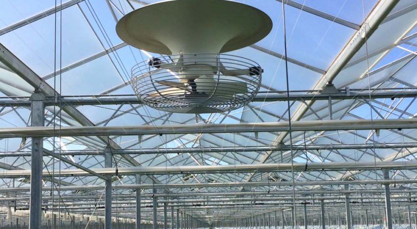 Een optimaal microklimaat op plantniveau door verticale luchtcirculatie