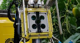 Paprika oogstrobot in de race voor Techtransfer award