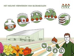 Bewaren van bloembollen kan energiezuiniger