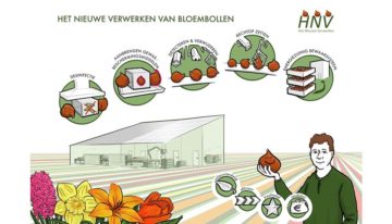 Bewaren van bloembollen kan energiezuiniger