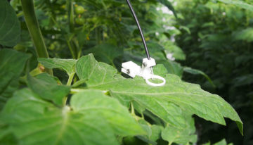 Nieuwe mobiele fotosynthese-efficiency sensor geïntroduceerd