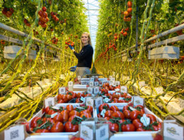 Campagne wil eenzijdig beeld van de tuinbouw bij jongeren completer maken