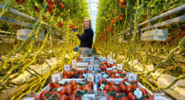 Campagne wil eenzijdig beeld van de tuinbouw bij jongeren completer maken