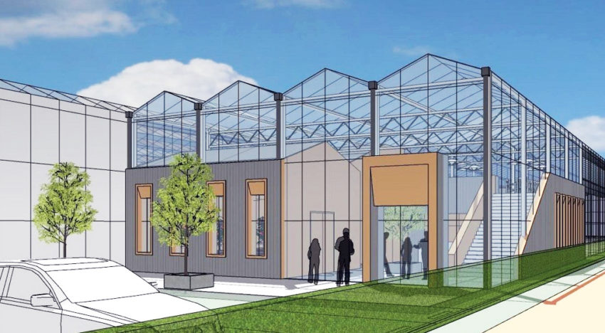 Syngenta kondigt bouw aan van nieuwe tomaten-demokas