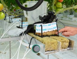 Hogere concentraties natrium in de mat mogelijk zonder schade