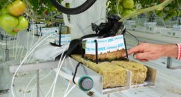 Hogere concentraties natrium in de mat mogelijk zonder schade