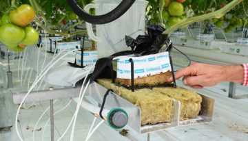 Hogere concentraties natrium in de mat mogelijk zonder schade