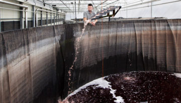 Hogere watervitaliteit juist door eenvoud