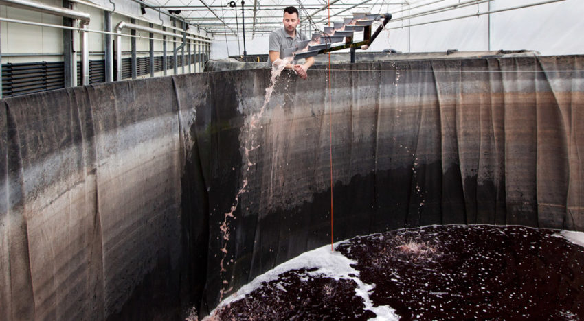Hogere watervitaliteit juist door eenvoud Hogere watervitaliteit juist door eenvoud